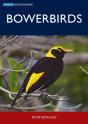Bowerbirds - Preview