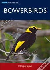 Capa do artigo Bowerbirds
