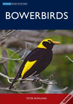 Capa do artigo Bowerbirds
