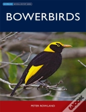 Bowerbirds