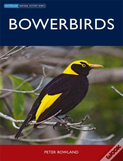 Capa do artigo Bowerbirds