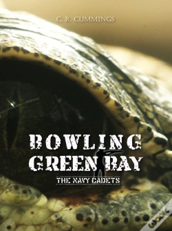 Capa do artigo Bowling Green Bay