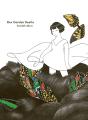 Box Garden Beetle - Preview