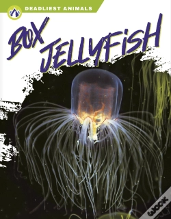 Capa do artigo Box Jellyfish