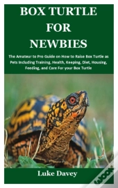 Box Turtle For Newbies