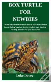 Capa do artigo Box Turtle For Newbies