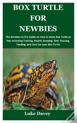 Capa do artigo Box Turtle For Newbies