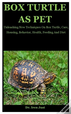 Capa do artigo Box Turtle