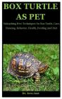 Box Turtle - Preview
