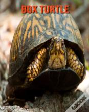 Box Turtle