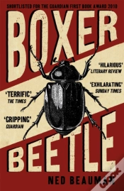 Capa do artigo Boxer, Beetle