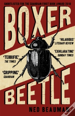 Capa do artigo Boxer, Beetle