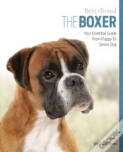 Capa do artigo Boxer