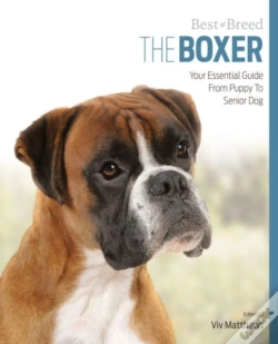 Capa do artigo Boxer