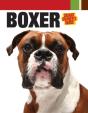 Boxer - Preview