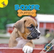 Capa do artigo Boxer Puppies