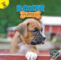 Capa do artigo Boxer Puppies