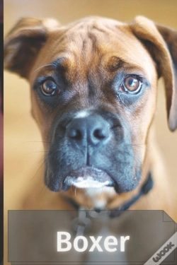 Capa do artigo Boxer