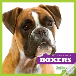 Capa do artigo Boxers
