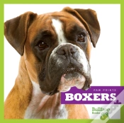 Capa do artigo Boxers