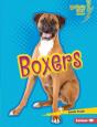 Boxers - Preview