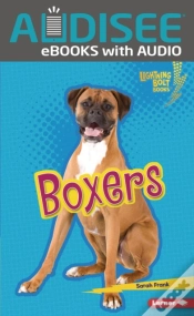 Capa do artigo Boxers