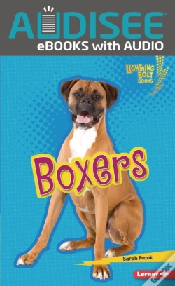 Capa do artigo Boxers