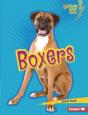 Boxers - Preview