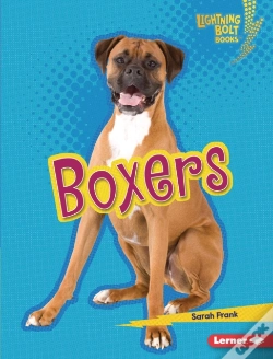 Capa do artigo Boxers