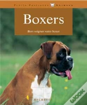 Capa do artigo Boxers