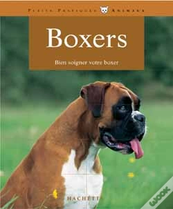 Capa do artigo Boxers