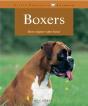 Boxers - Preview