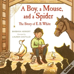 Capa do artigo Boy A Mouse & A Spider A
