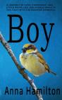 Boy - Preview