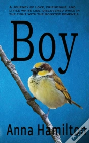 Capa do artigo Boy