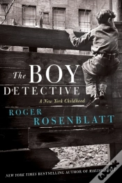 Capa do artigo Boy Detective