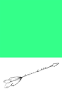 Boy & Arrow - Preview