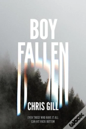Capa do artigo Boy Fallen
