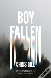 Capa do artigo Boy Fallen