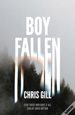 Capa do artigo Boy Fallen