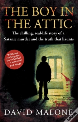 Capa do artigo Boy In The Attic