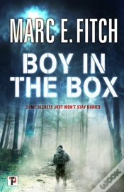 Capa do artigo Boy In The Box