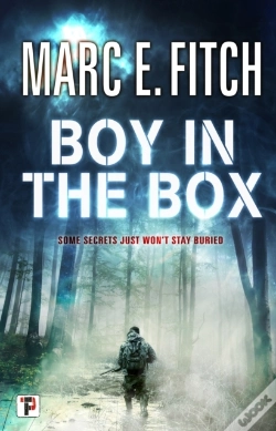 Capa do artigo Boy In The Box