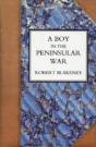 Boy In The Peninsular War The Services A - Preview