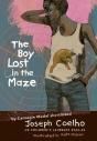 Boy Lost In The Maze - Preview
