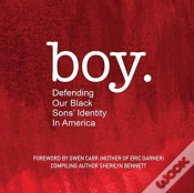 Capa do artigo Boy