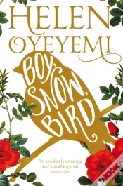 Capa do artigo Boy, Snow, Bird