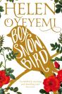 Boy, Snow, Bird - Preview