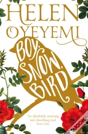 Capa do artigo Boy, Snow, Bird