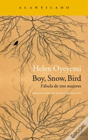 Capa do artigo Boy, Snow, Bird